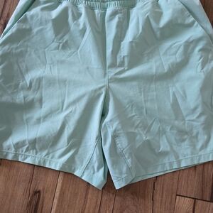 Mint Green Mens Lululemon Athletic Shorts Large